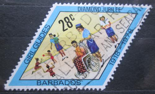 Poštovní známka Barbados 1978 Skauti Mi# 449