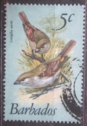 Poštovní známka Barbados 1979 Knìžík menší Mi# 467
