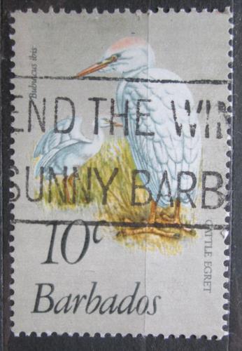 Poštovní známka Barbados 1979 Volavka rusohlavá Mi# 469