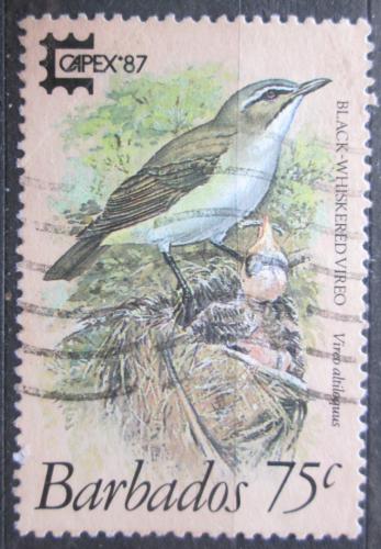 Poštovní známka Barbados 1987 Zelenáèek vousatý Mi# 677