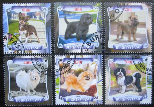 Poštovní známky Burkina Faso 2021 Malí psi Mi# Mi# N/N