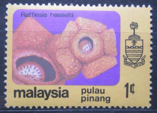 Potovn znmka Malajsie Pulau Pinang 1979 Rafflesia hasseltii Mi# 80 - zvtit obrzek