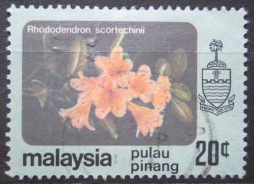Potovn znmka Malajsie Pulau Pinang 1979 Rhododendron scortechinii Mi# 85