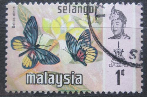 Potovn znmka Malajsie Selangor 1971 Delias ninus Mi# 105 - zvtit obrzek