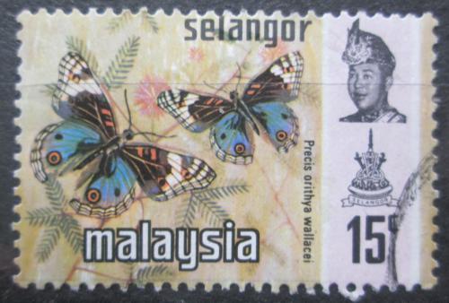 Potovn znmka Malajsie Selangor 1971 Precis orithya wallacei Mi# 110