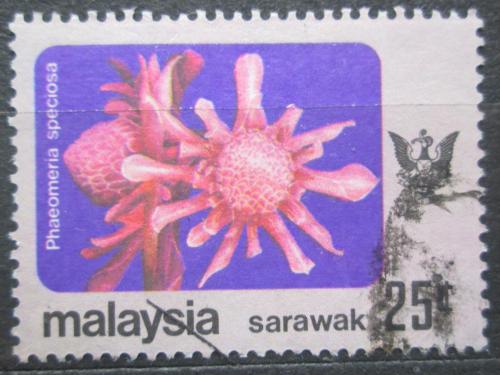 Poštovní známka Malajsie Sarawak 1979 Phaeomeria speciosa Mi# 238