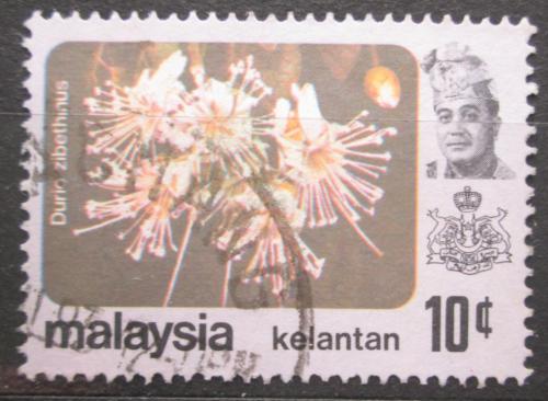 Poštovní známka Malajsie Kelantan 1979 Durian cibetkový Mi# 107