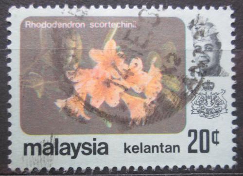 Poštovní známka Malajsie Kelantan 1979 Rhododendron scortechinii Mi# 109