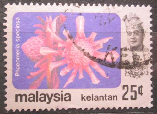 Poštovní známka Malajsie Kelantan 1979 Phaeomeria speciosa Mi# 110