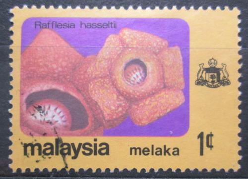 Poštovní známka Malajsie Melaka 1979 Rafflesia hasseltli Mi# 80