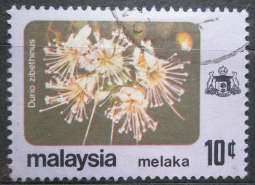 Poštovní známka Malajsie Melaka 1979 Durian cibetkový Mi# 83