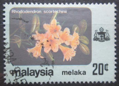 Poštovní známka Malajsie Melaka 1979 Rhododendron scortechinii Mi# 85