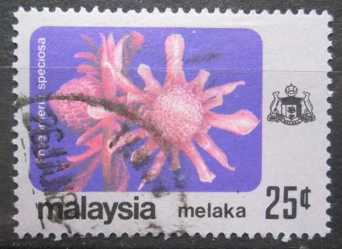 Poštovní známka Malajsie Melaka 1979 Phaeomeria speciosa Mi# 86