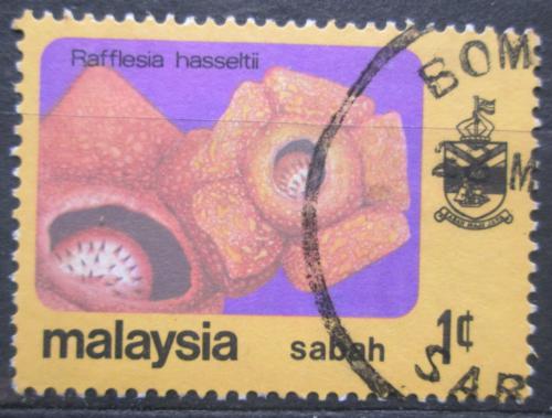 Poštovní známka Malajsie Sabah 1979 Rafflesia hasseltii Mi# 31
