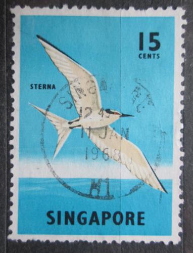 Potovn znmka Singapur 1962 Rybk blotemenn Mi# 61