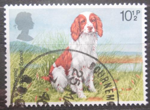 Poštovní známka Velká Británie 1979 Velššpringršpanìl Mi# 782