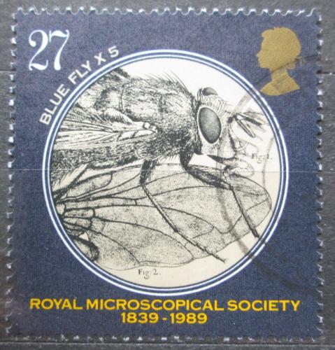 Poštovní známka Velká Británie 1989 Moucha pod mikroskopem Mi# 1219