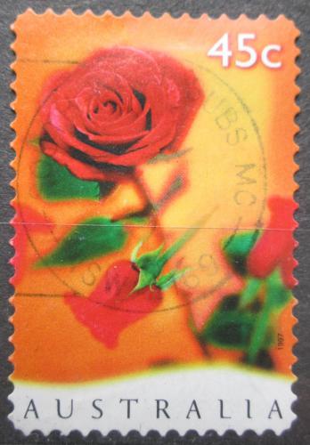Poštovní známka Austrálie 1997 Rùže Mi# 1617