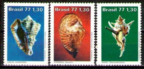 Poštovní známky Brazílie 1977 Mušle Mi# 1604-06