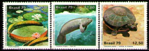 Poštovní známky Brazílie 1979 Národní park Amazonas Mi# 1709-11 Kat 4.60€
