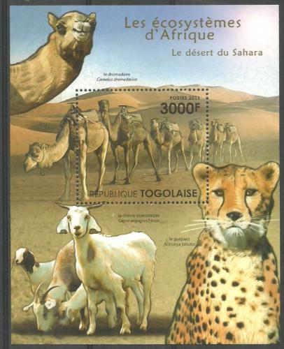 Poštovní známka Togo 2011 Fauna Sahary Mi# Block 636 Kat 12€