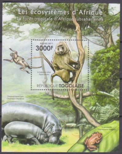 Poštovní známka Togo 2011 Fauna tropického deštného pralesa Mi# Block 638 Kat 12€