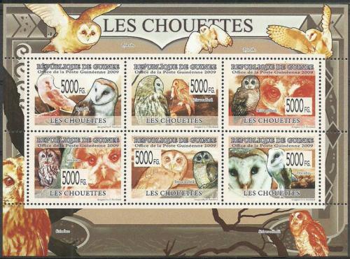 Poštovní známky Guinea 2009 Sovy Mi# 6424-29 Kat 12€