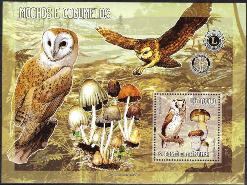 Poštovní známka Svatý Tomáš 2006 Sovy Mi# Block 544 Kat 12€