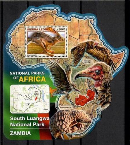 Poštovní známka Sierra Leone 2016 NP South Luangwa, Zambie Mi# Block 984 Kat 11€