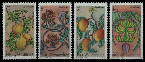 Poštovní známky Somálsko 1996 Ovoce Mi# 607-10 Kat 10€