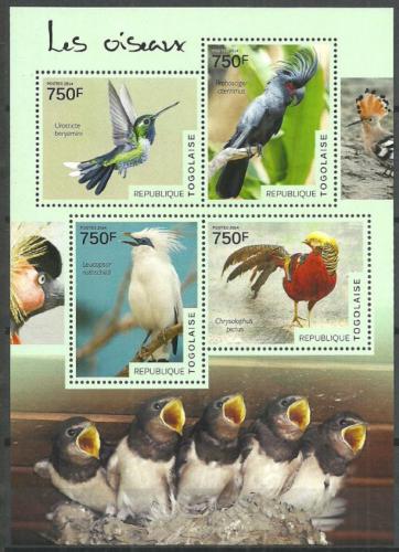 Poštovní známky Togo 2014 Ptáci Mi# 6121-24 Kat 12€