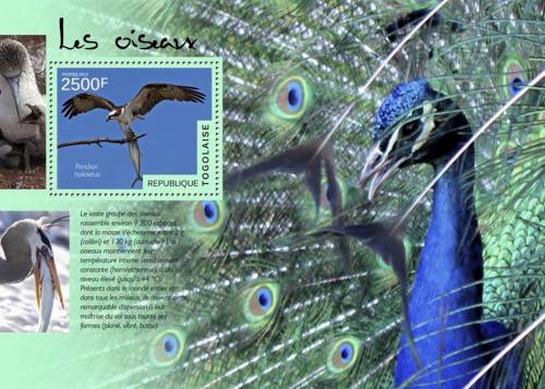 Poštovní známka Togo 2014 Ptáci Mi# Block 1045 Kat 10€