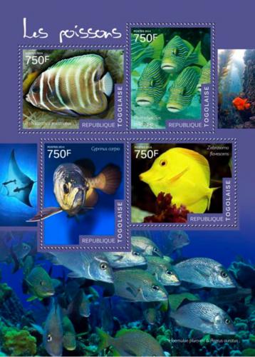 Poštovní známky Togo 2014 Ryby Mi# 6111-14 Kat 12€
