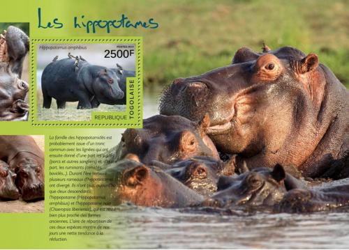 Poštovní známka Togo 2014 Hroši Mi# Block 1049 Kat 10€