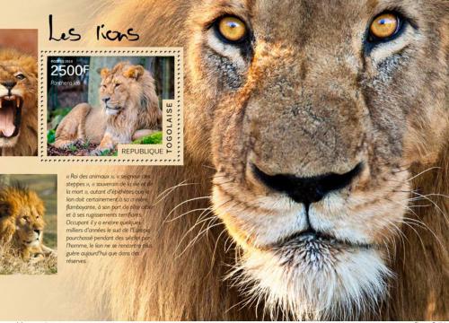 Poštovní známka Togo 2014 Lvi Mi# Block 1051 Kat 10€