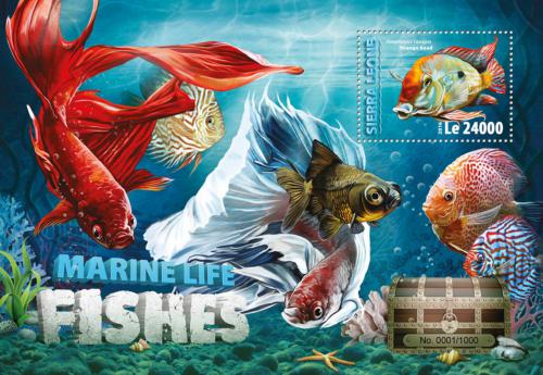 Poštovní známka Sierra Leone 2016 Akvarijní ryby Mi# Block 935 Kat 11€