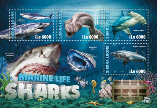 Poštovní známky Sierra Leone 2016 Žraloci Mi# 7028-31 Kat 11€
