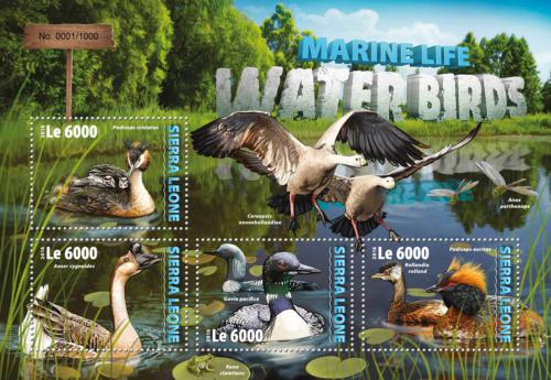 Poštovní známky Sierra Leone 2016 Vodní ptáci Mi# 7058-61 Kat 11€