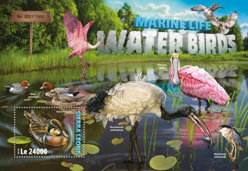 Poštovní známka Sierra Leone 2016 Vodní ptáci Mi# Block 944 Kat 11€