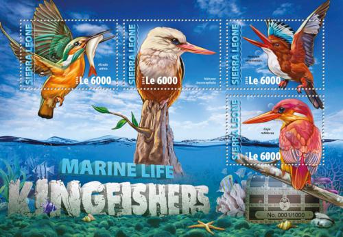Poštovní známky Sierra Leone 2016 Ledòáèci Mi# 7063-66 Kat 11€