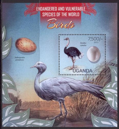 Poštovní známka Uganda 2013 Ptáci Mi# Block 415 Kat 9€