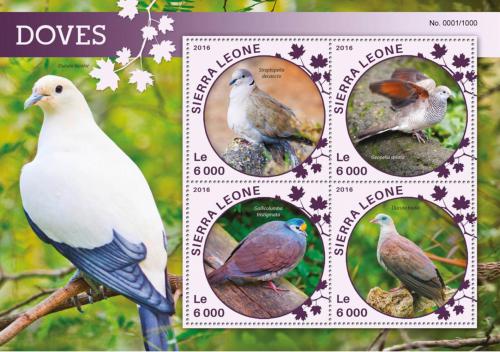 Poštovní známky Sierra Leone 2016 Holubi Mi# 6838-41 Kat 11€