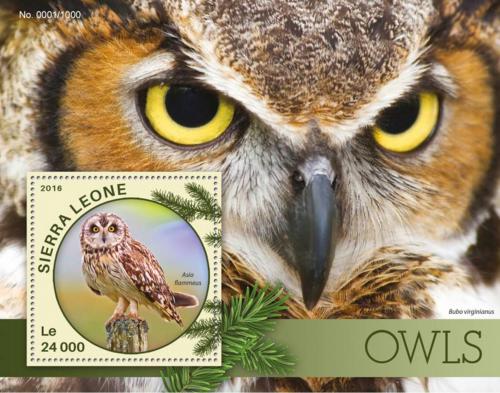 Poštovní známka Sierra Leone 2016 Sovy Mi# Block 903 Kat 11€
