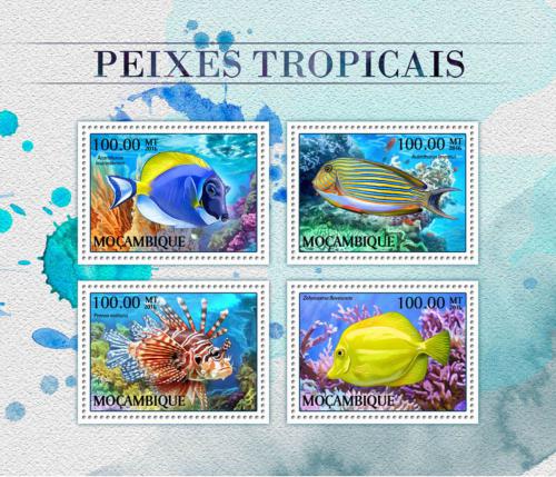 Poštovní známky Mosambik 2016 Tropické ryby Mi# 8899-8902 Kat 22€