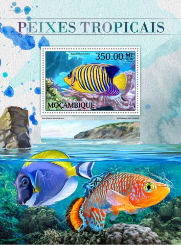 Poštovní známka Mosambik 2016 Tropické ryby Mi# Block 1220 Kat 20€