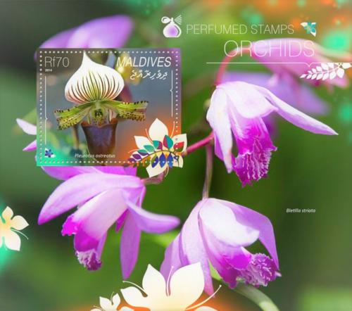 Poštovní známka Maledivy 2014 Orchideje Mi# Block 743 Kat 9€