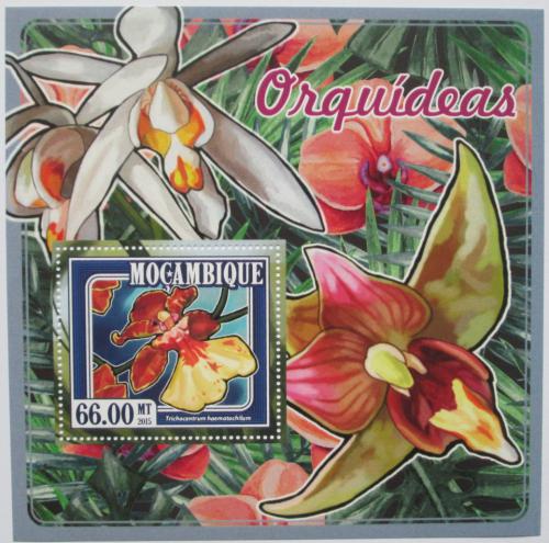 Poštovní známka Mosambik 2015 Orchideje Mi# 7692 Block