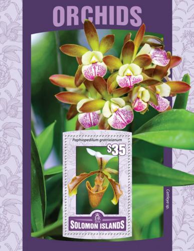 Poštovní známka Šalamounovy ostrovy 2016 Orchideje Mi# Block 484 Kat 11€