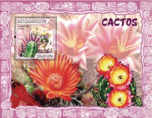 Poštovní známka Mosambik 2007 Kaktusy Mi# Block 210 Kat 10€