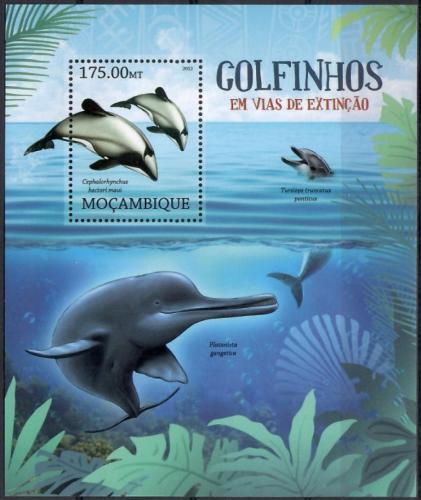 Poštovní známka Mosambik 2012 Delfíni na cestì k vyhynutí Mi# Block 638 Kat 10€